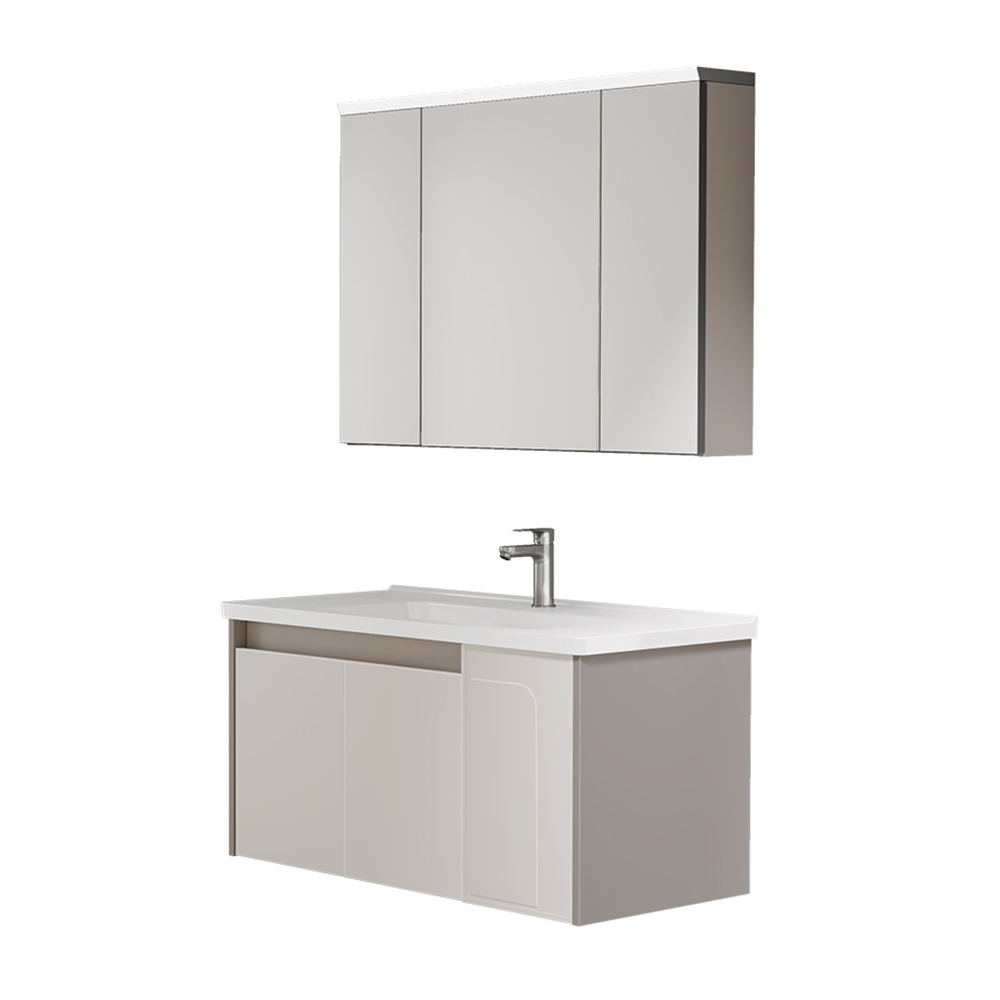 BC6119-100防潮金属榴莲视频软件柜